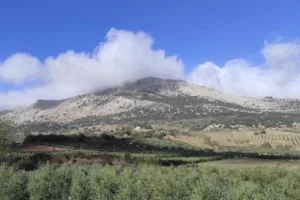Catastro Alfarnatejo - Ayuntamiento de Alfarnatejo
