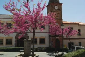 Catastro Anchuras - Ayuntamiento de Anchuras