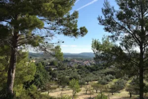 Catastro Bicorp - Ayuntamiento de Bicorp