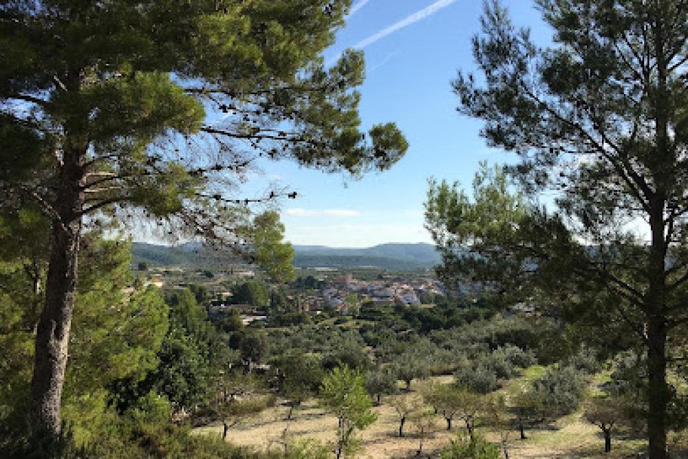 Catastro Bicorp | Ayuntamiento