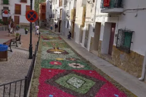 Catastro Bogarra - Ayuntamiento de Bogarra
