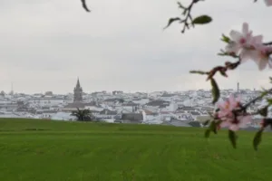 Catastro Bollullos Par del Condado - Ayuntamiento de Bollullos Par Del Condado