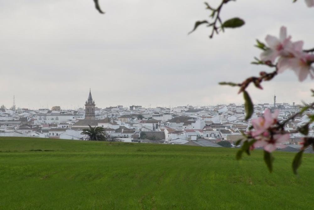 Catastro Bollullos Par del Condado | Ayuntamiento