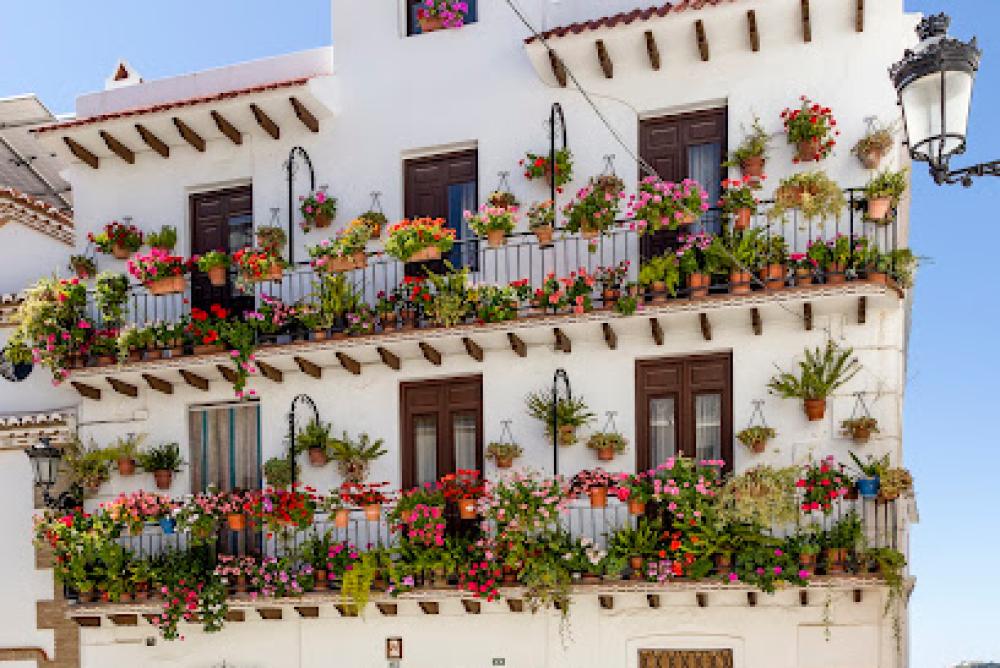 Catastro Canillas de Albaida | Ayuntamiento
