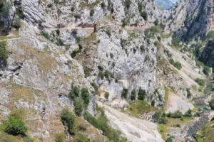 Catastro Carreña - Ayuntamiento de Cabrales