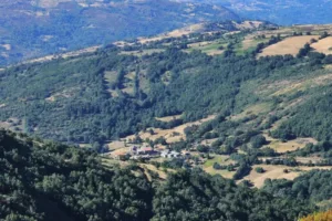 Catastro Celeiros - Concello de Chandrexa de Queixa