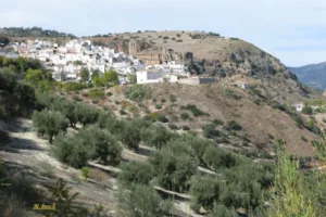 Catastro Colomera - Ayuntamiento de Colomera