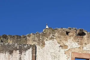 Catastro Conquista de la Sierra - Ayuntamiento de Conquista de la Sierra