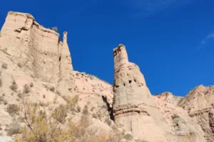 Catastro Cuevas del Campo - Ayuntamiento de Cuevas del Campo