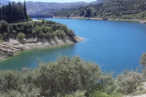 Catastro El Pinar - Ayuntamiento de El Pinar