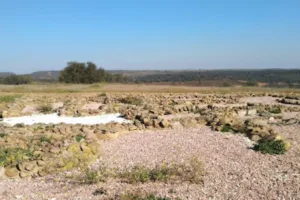 Catastro Escacena del Campo - Ayuntamiento de Escacena del Campo
