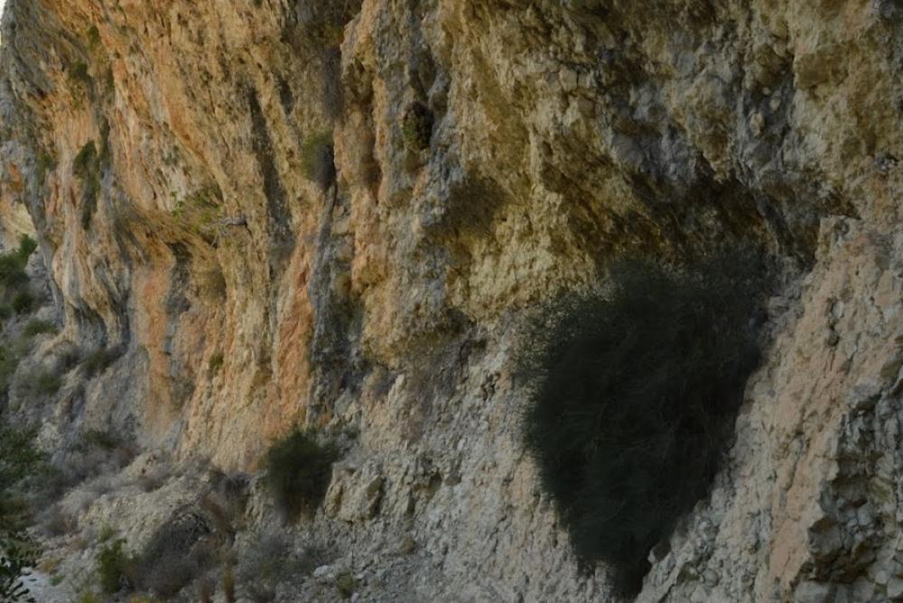 Catastro Fleix | Ayuntamiento de La Vall de Laguar