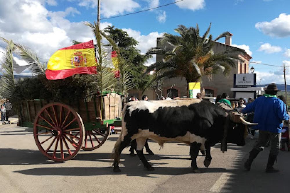 Catastro Fontanarejo | Ayuntamiento