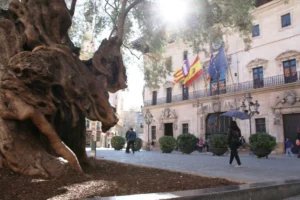 Catastro Islas Baleares