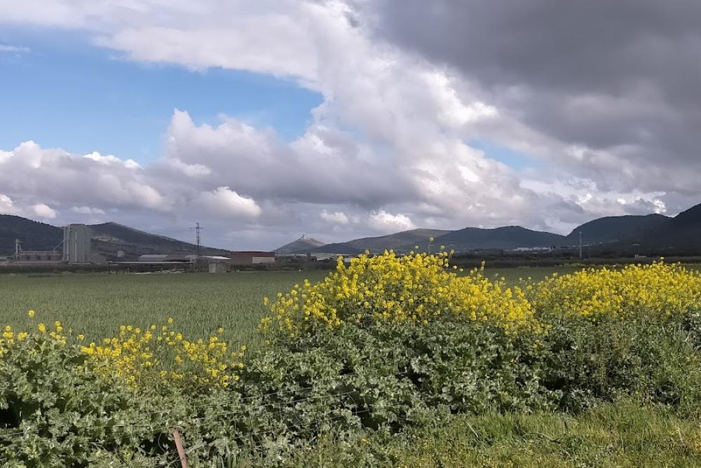 Catastro La Morera | Ayuntamiento