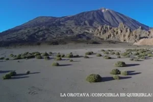 Catastro La Orotava - Ayuntamiento de la Orotava