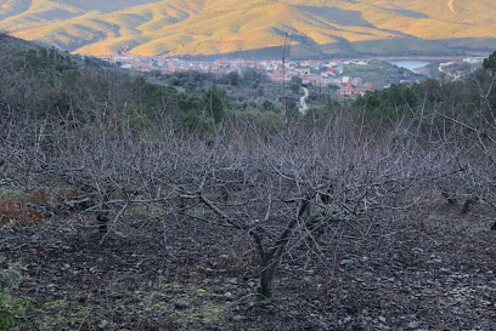 Catastro La Pesga | Ayuntamiento