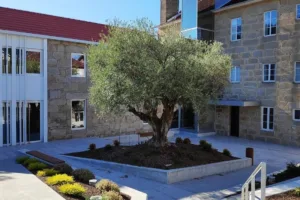 Catastro Mondariz-Balneario - Concello de Mondariz-Balneario