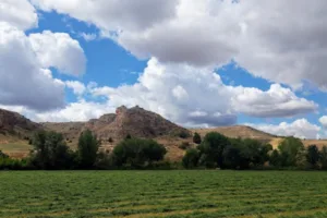 Catastro Montejo de la Vega de la Serrezuela - Ayuntamiento de Montejo de la Vega de la Serrezuela