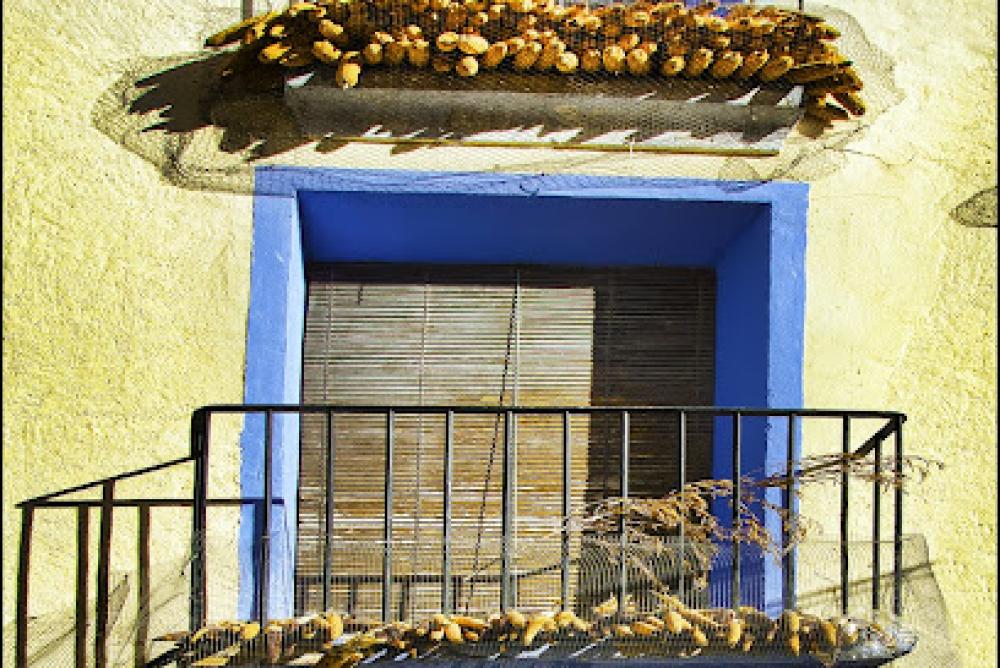 Catastro Novallas | Ayuntamiento
