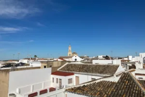 Catastro Olivares - Ayuntamiento de Olivares