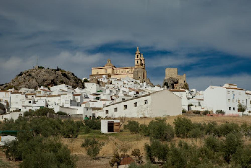 Catastro Olvera | Ayuntamiento