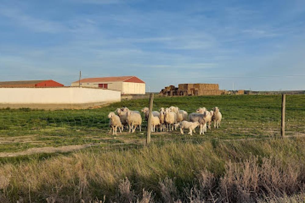 Catastro Pedraza de Campos | Ayuntamiento