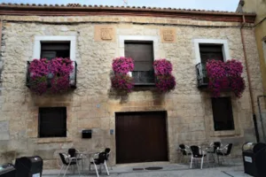 Catastro Peñafiel - Ayuntamiento de Peñafiel