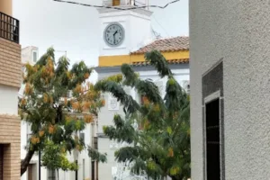 Catastro Peñalsordo - Ayuntamiento de Peñalsordo