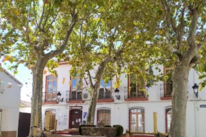 Catastro Peñascosa - Ayuntamiento de Peñascosa