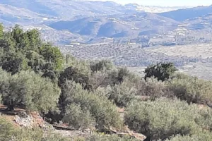 Catastro Periana - Ayuntamiento de Periana