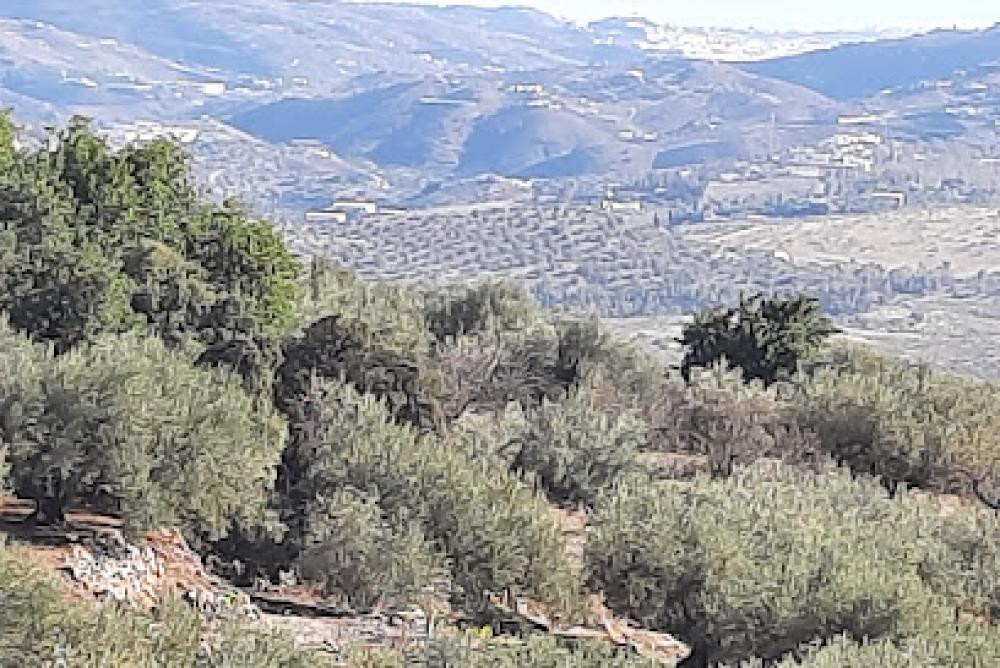 Catastro Periana | Ayuntamiento