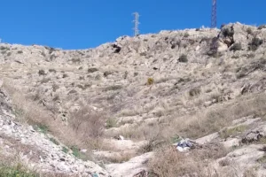 Catastro Pinos Puente - Ayuntamiento de Pinos Puente