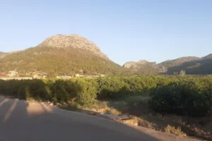 Catastro Sagra - Ayuntamiento de Sagra