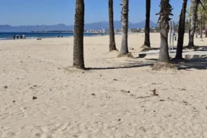Catastro Salou - Ayuntamiento de Salou