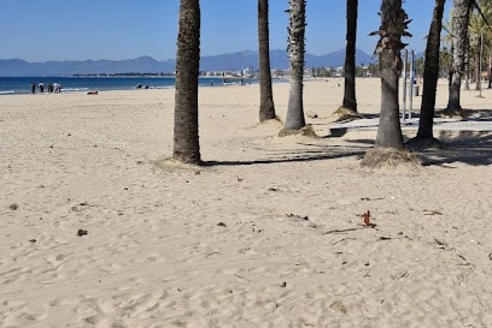 Catastro Salou | Ayuntamiento