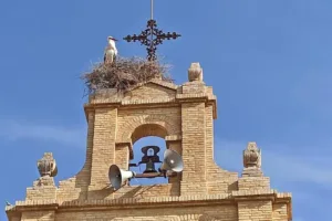 Catastro San José del Valle - Ayuntamiento de San José del Valle