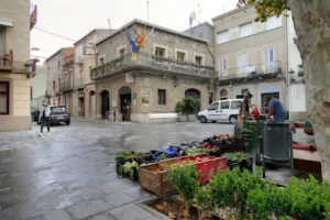 Catastro Sant Vicenç de Castellet - Ayuntamiento de San Vicente de Castellet