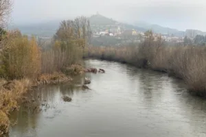 Catastro Tariego de Cerrato - Ayuntamiento de Tariego de Cerrato