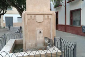 Catastro Valdeganga - Ayuntamiento de Valdeganga