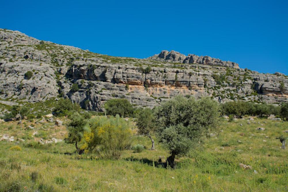 Catastro Valle de Abdalajís | Ayuntamiento