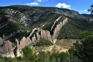 Catastro Viacamp y Litera - Ayuntamiento de Viacamp y Litera