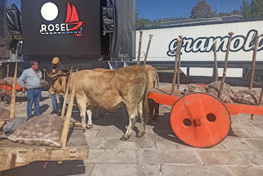 Catastro Vilar de Barrio | Concello
