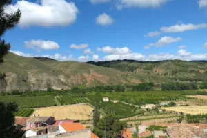 Catastro Villafeliche - Ayuntamiento de Villafeliche