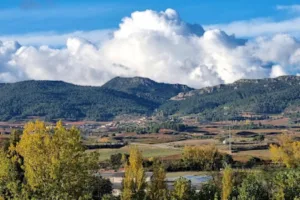 Catastro Villalba de Rioja - Ayuntamiento de Villalba de Rioja