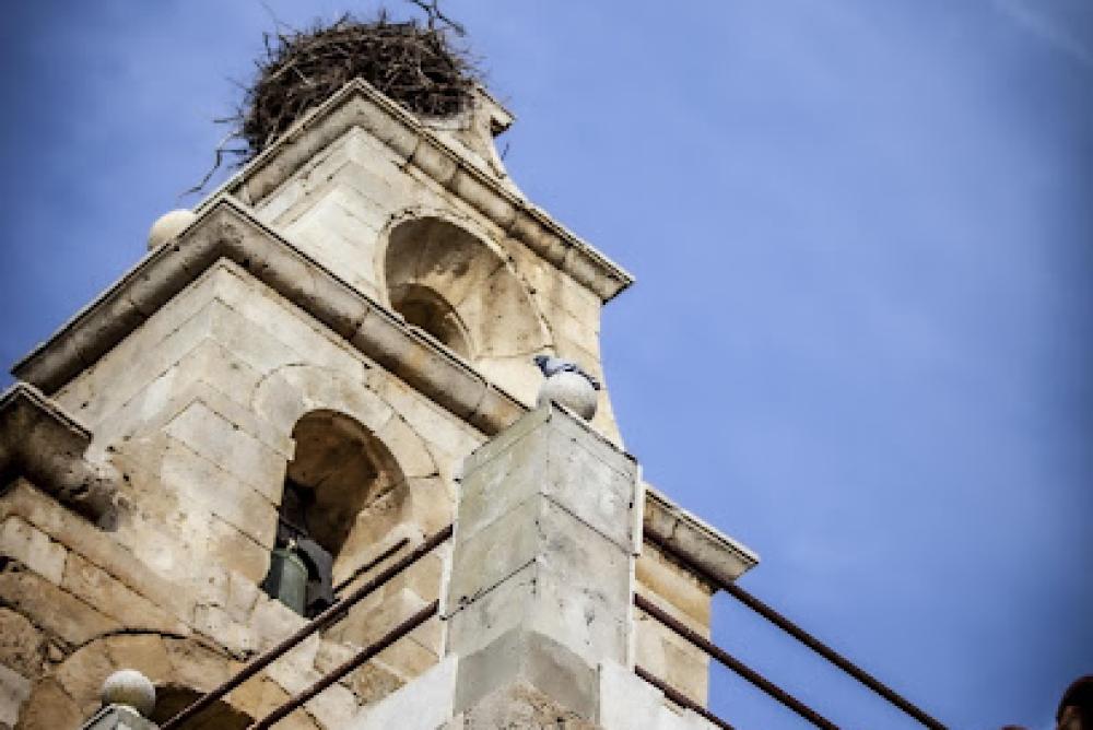 Catastro Villamartín de Campos | Ayuntamiento