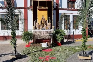 Catastro Villanueva del Ariscal - Ayuntamiento de Villanueva del Ariscal