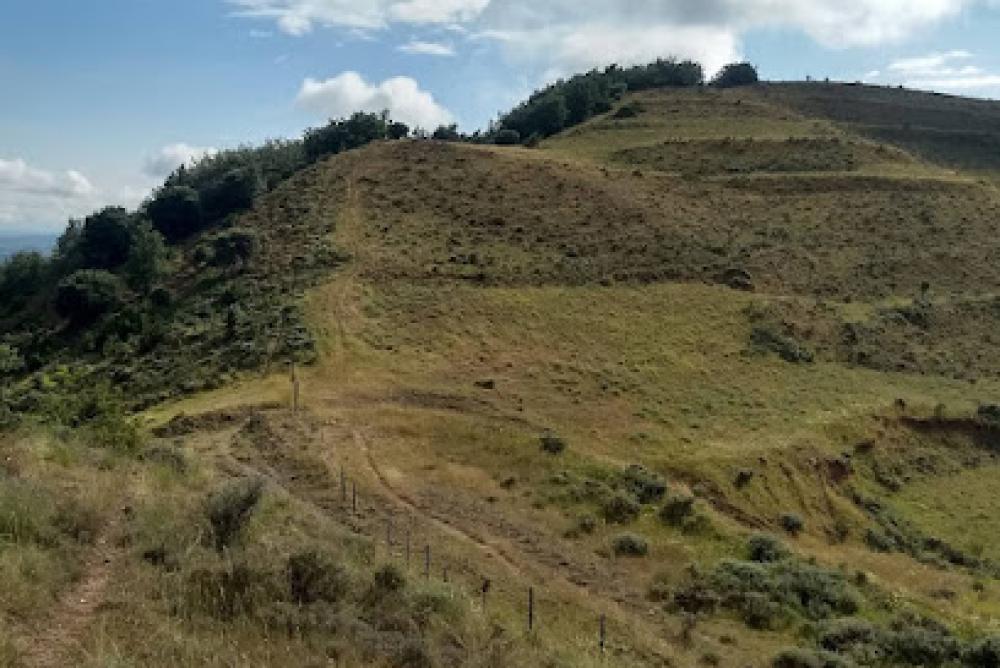 Catastro Villaverde de Rioja | Ayuntamiento