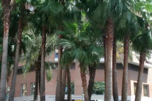 Gerencia Territorial del Catastro de Tarragona