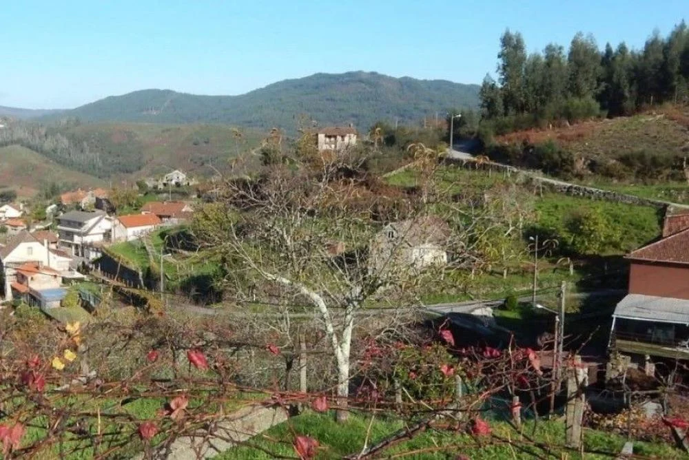 Revision catastral en 1.200 fincas de